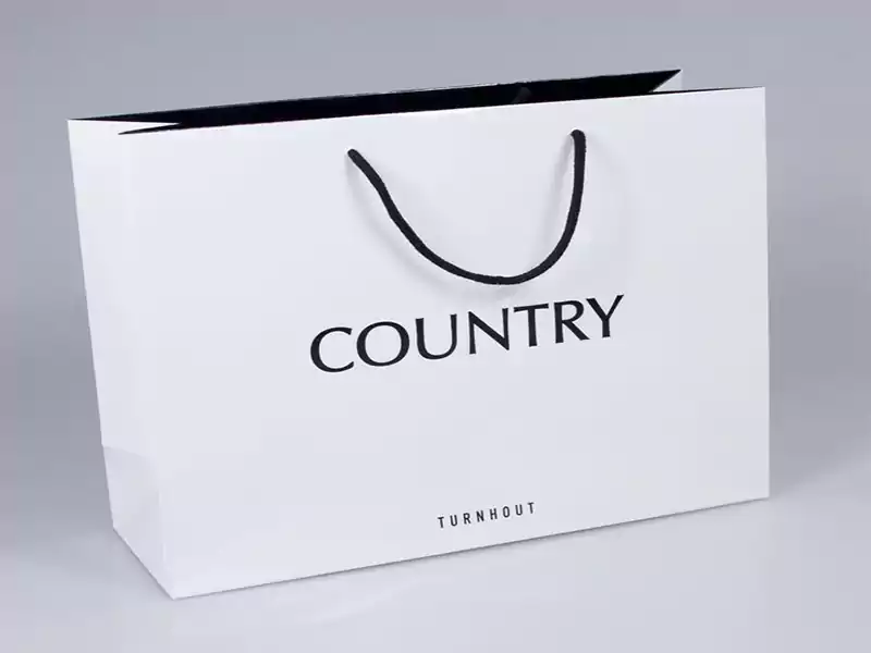 Custom Paper bag for brands 10