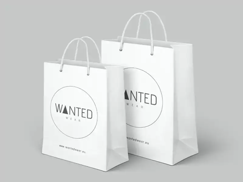 Custom Paper bag for brands 2