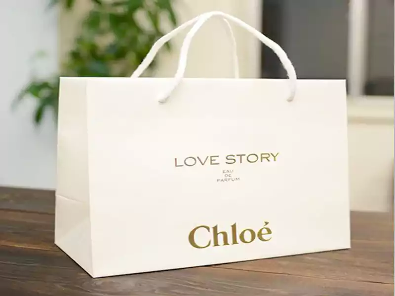 Custom Paper bag for brands 6