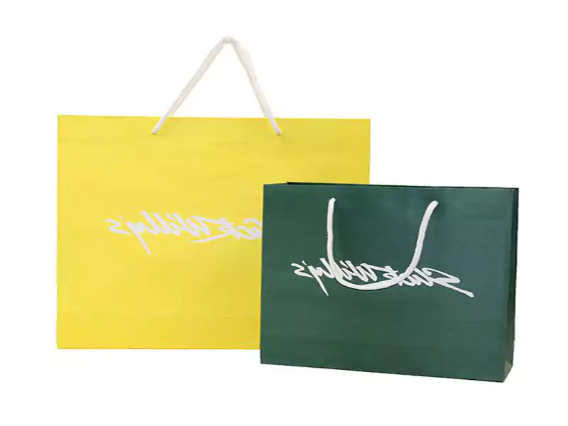 Fashion shopping bag